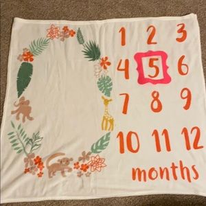 Milestone blanket
